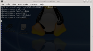 editando-arquivo-xdebug.ini